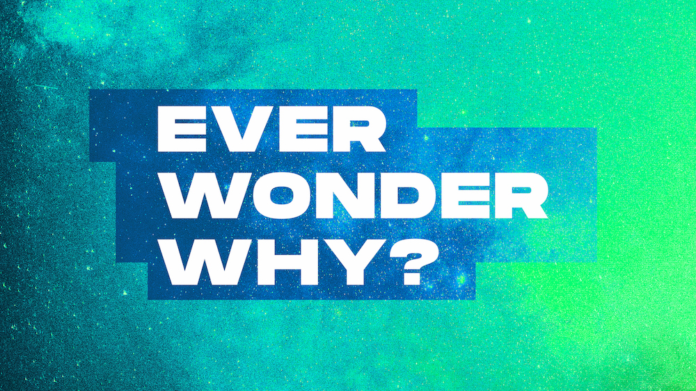 Ever Wonder Why? Pt. 2