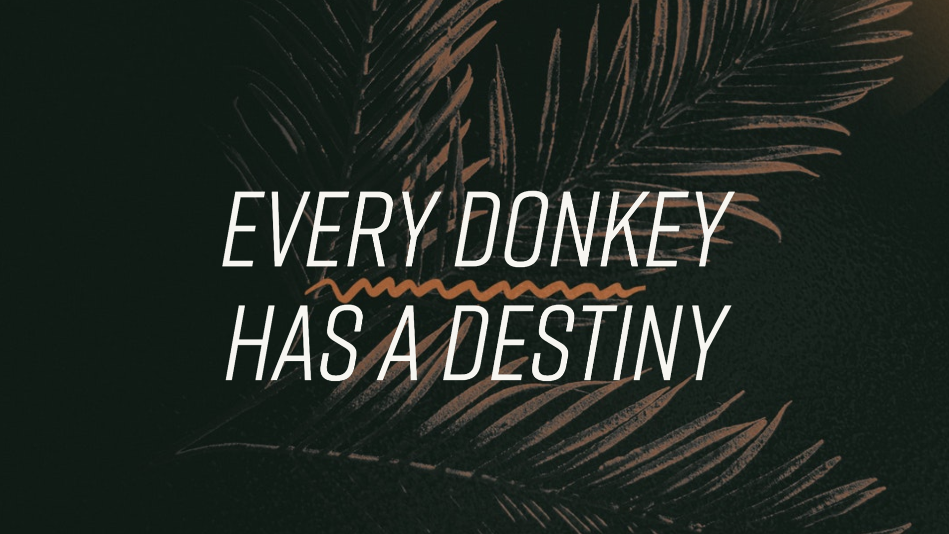 Palm Sunday - Every Donkey has a Destiny